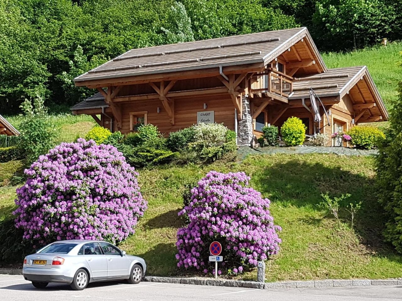Les Chalets Des Chatelmines Ла-Бресс Экстерьер фото